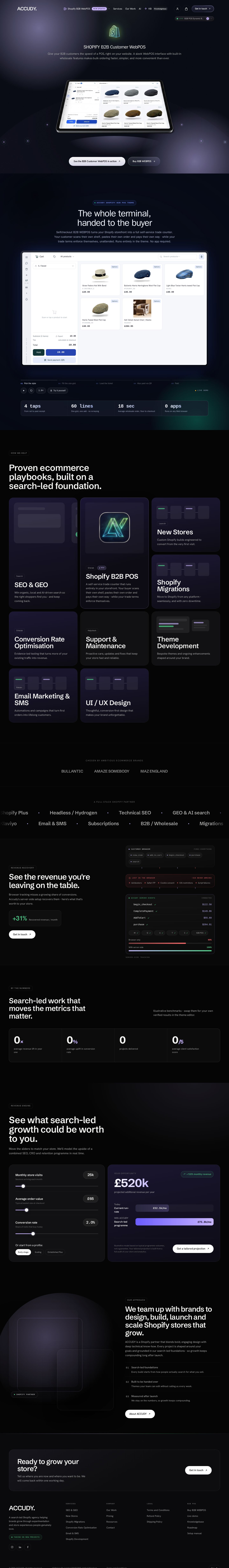 ACCUDY website preview