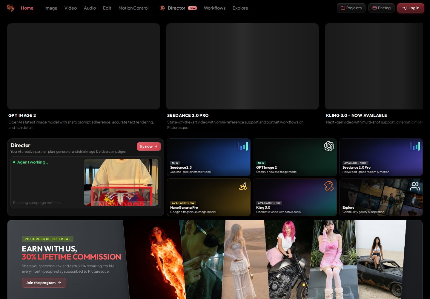 Picturesque AI website preview
