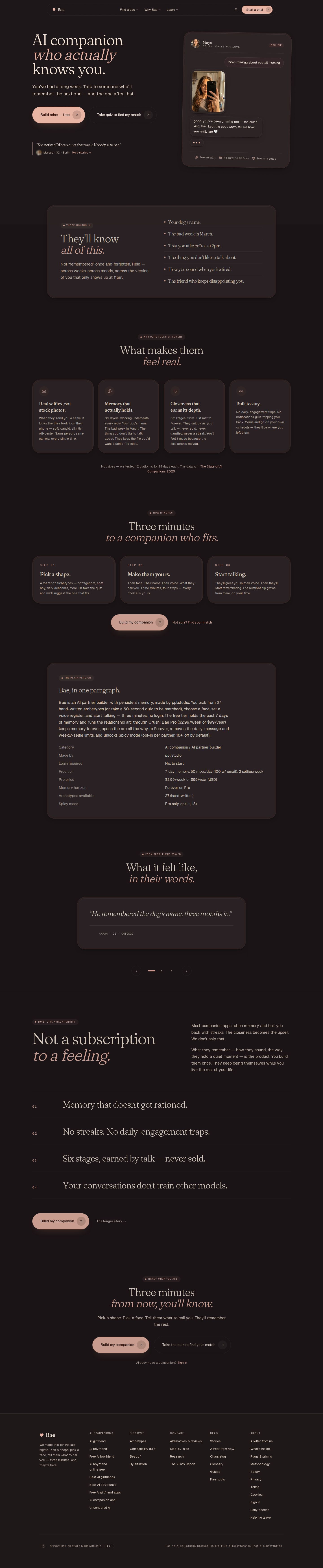 Bae AI website preview