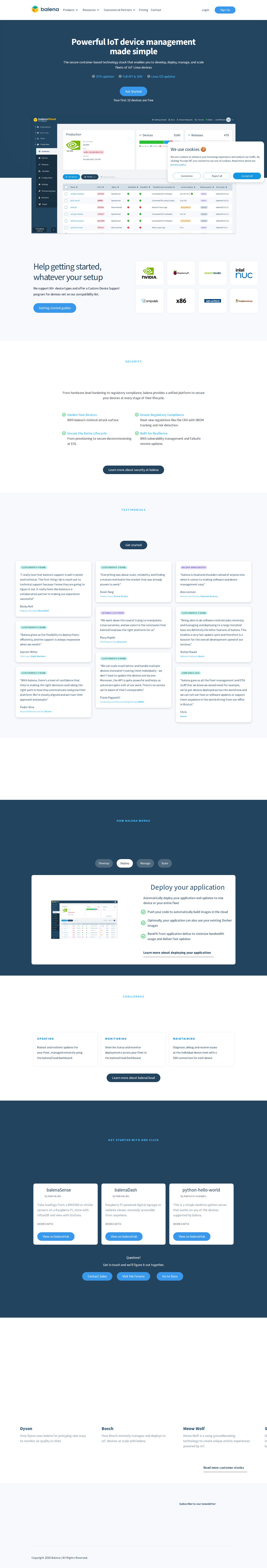 balena website preview