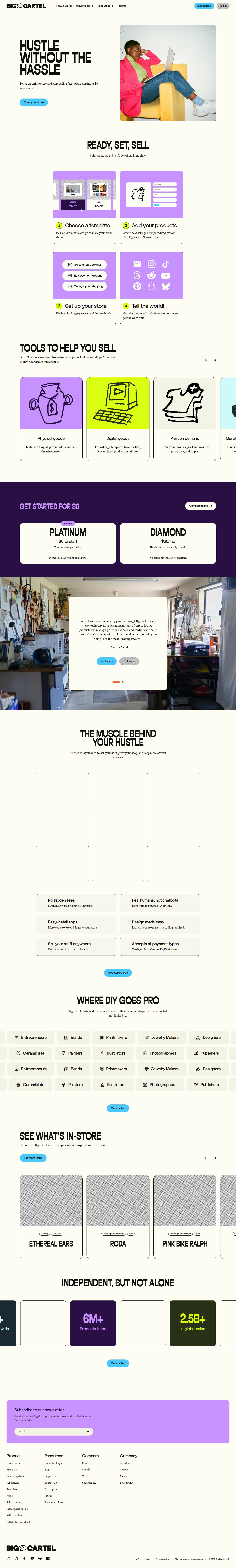 Big Cartel website preview
