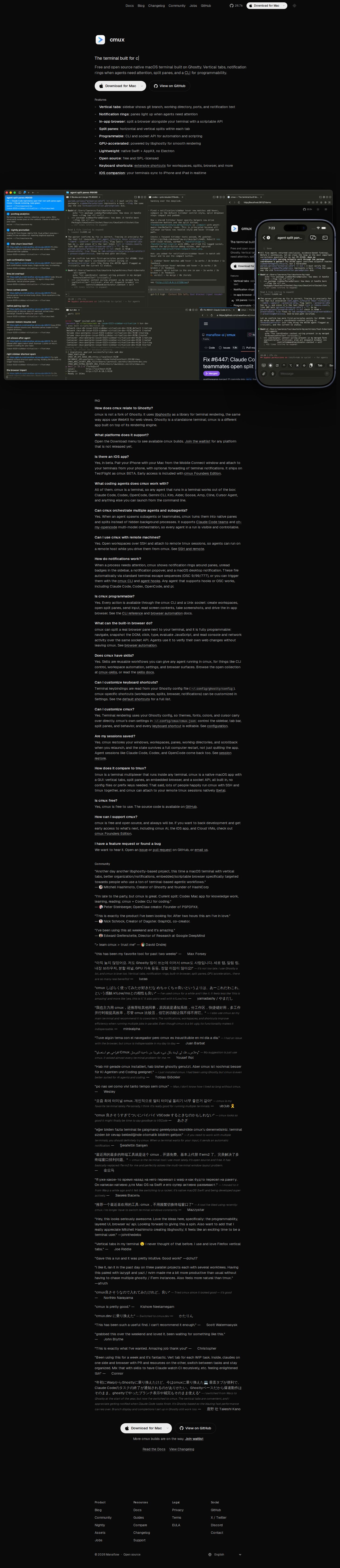 cmux website preview