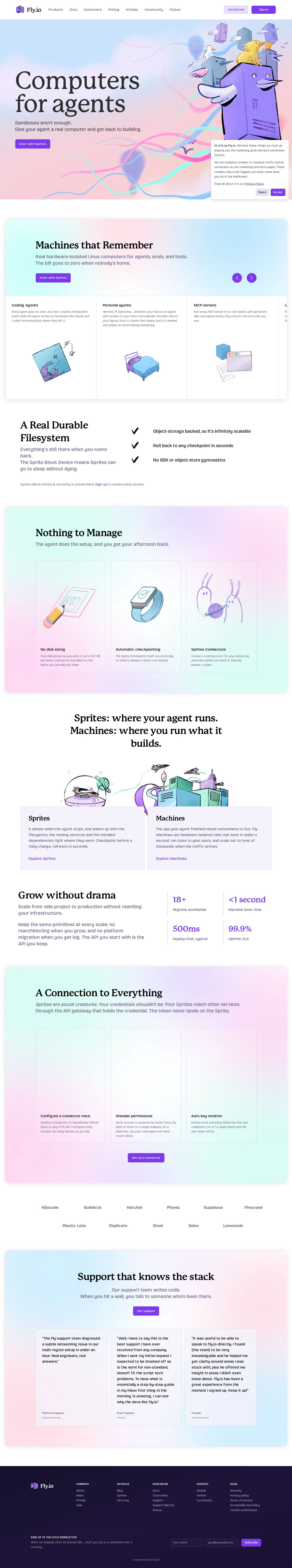 Fly website preview