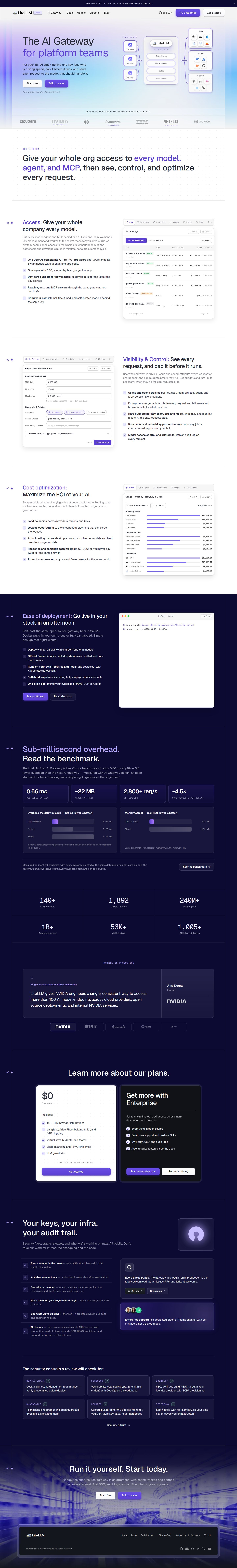 LiteLLM website preview