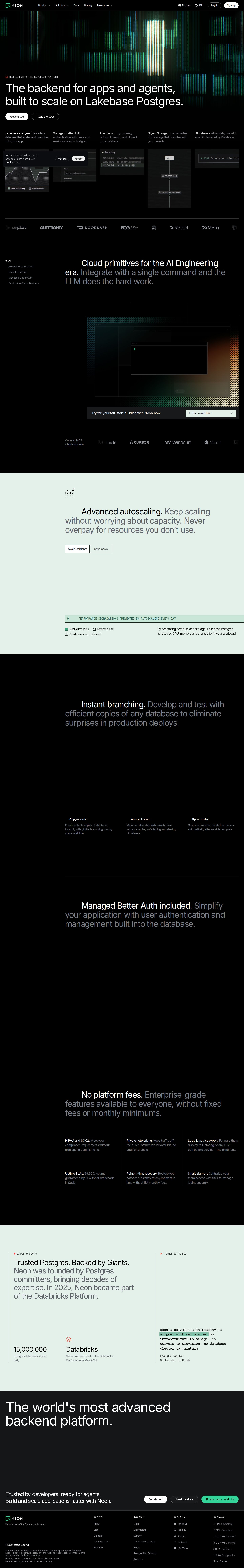 Neon website preview