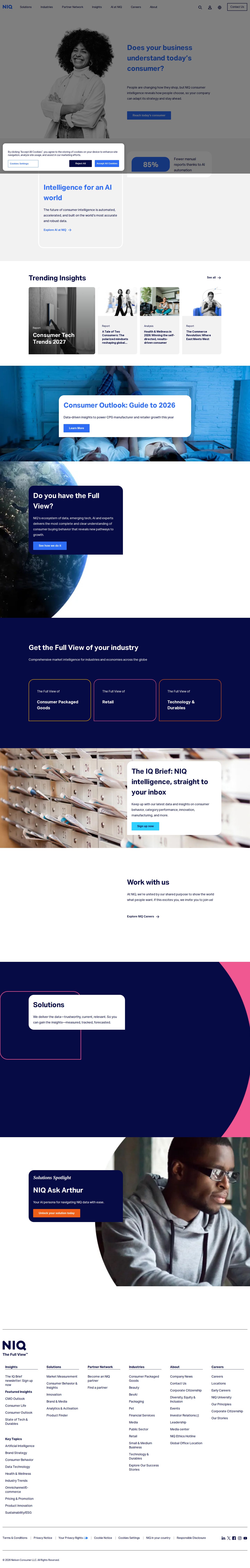 NIQ website preview