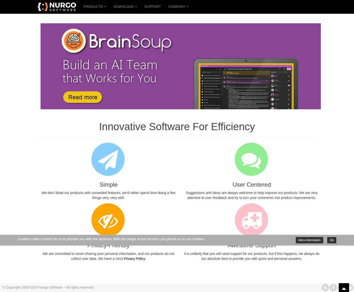 Nurgo Software website preview