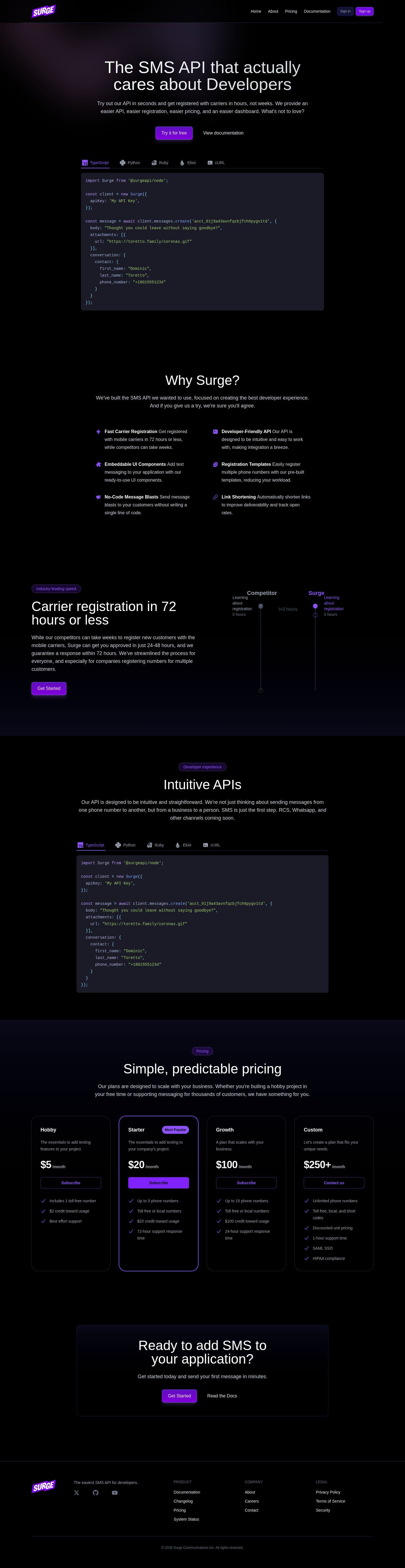 Surge website preview