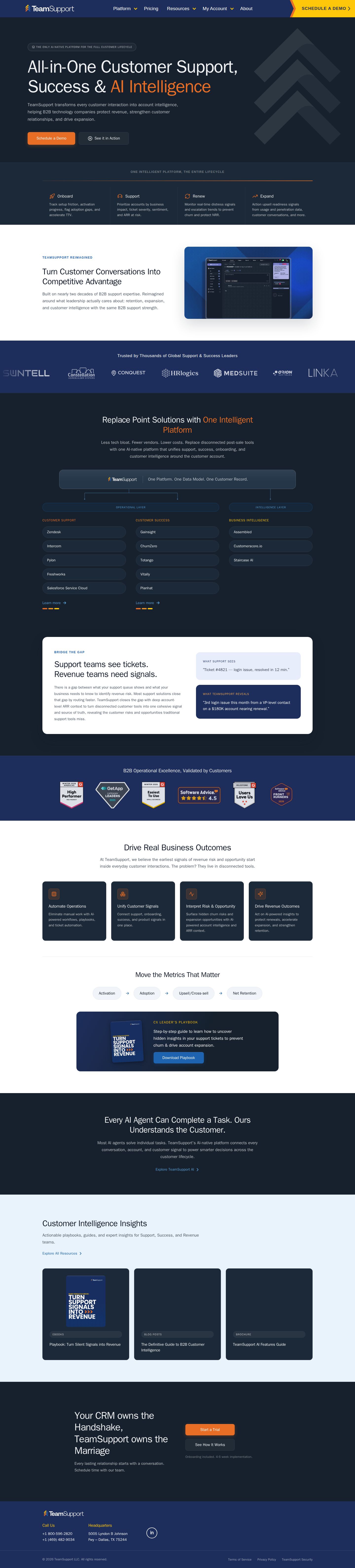 TeamSupport website preview