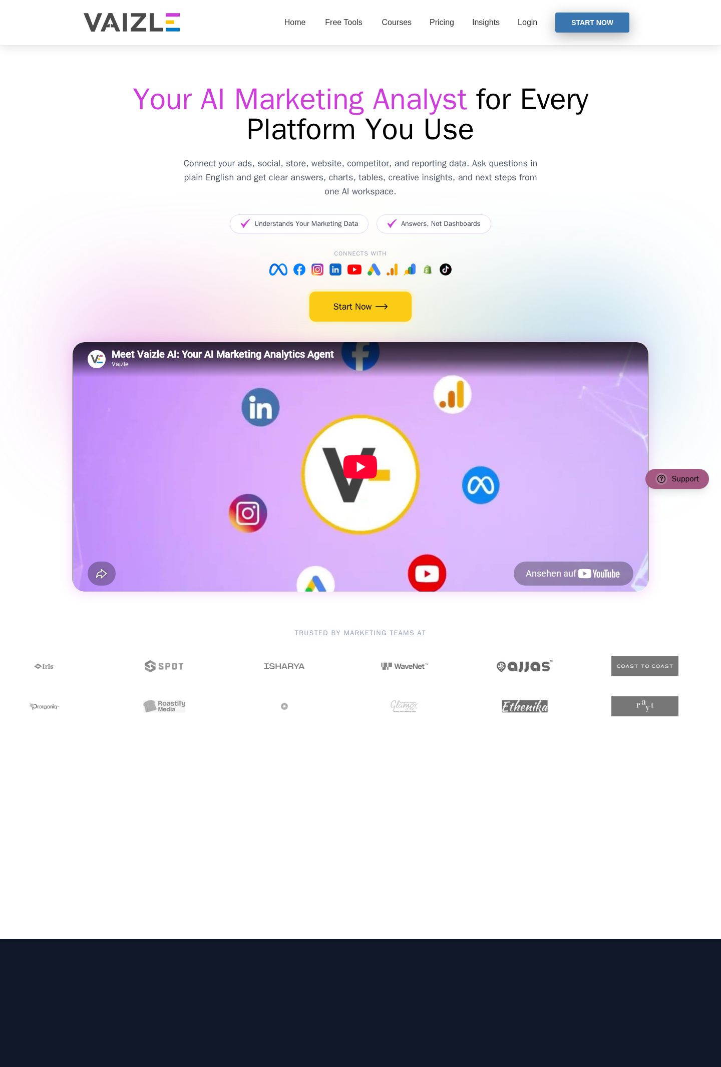 AI Agent for End-to-End Marketing Analysis website preview