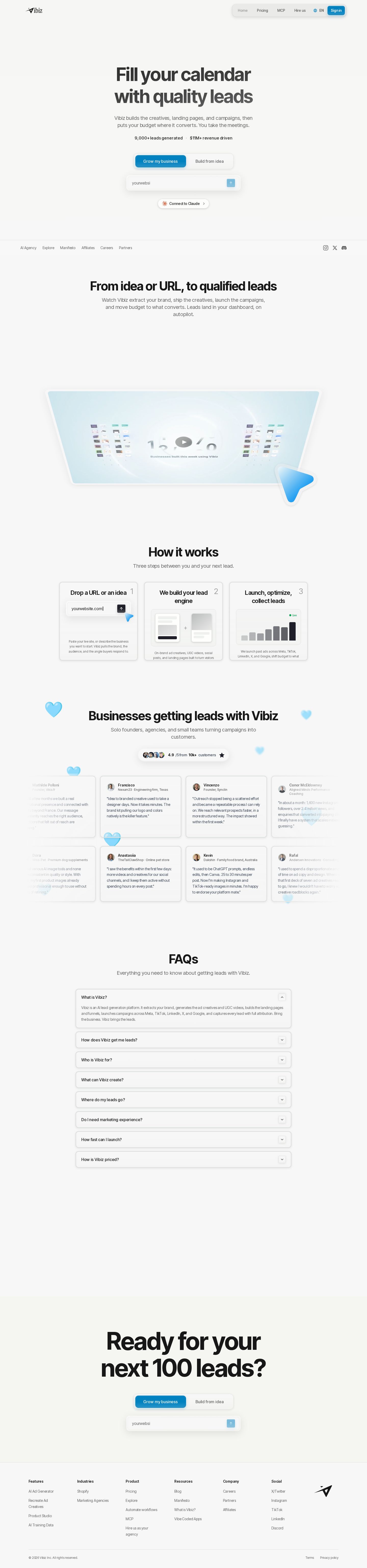 Vibiz.ai website preview