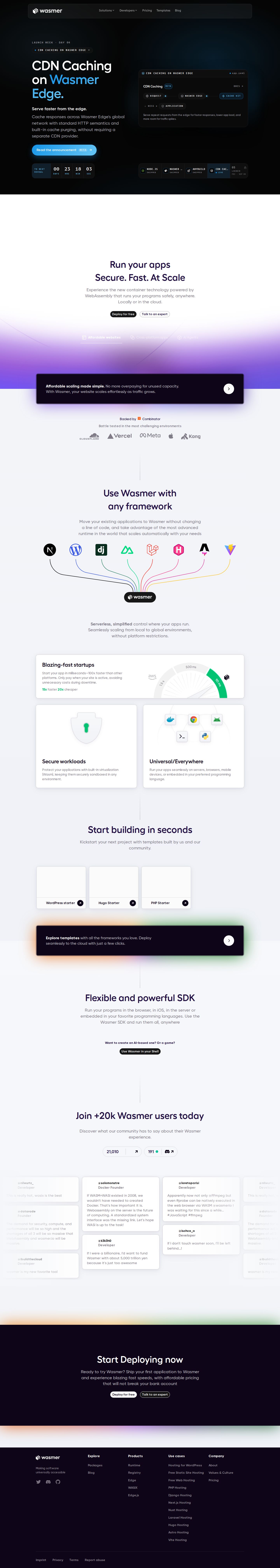 Wasmer website preview